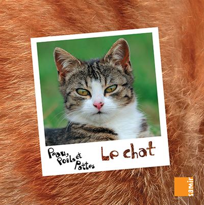 Le chat - Marwan El-Ahdab - cartonné