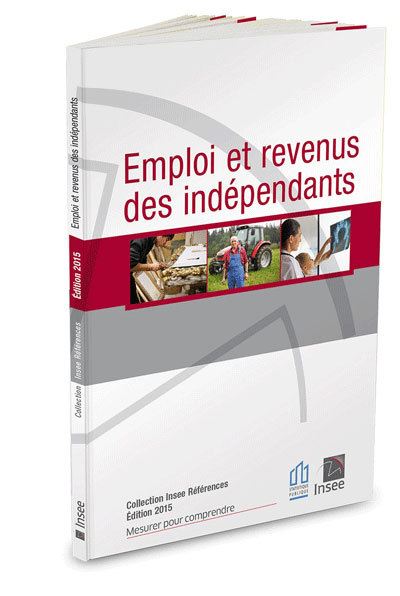 Emploi et revenus des indépendants 2015