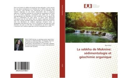La sebkha de moknine: sedimentologie et geochimie organique