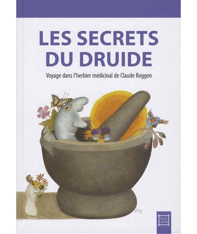 Les Secrets du druide - ANNICK MONOD - broché