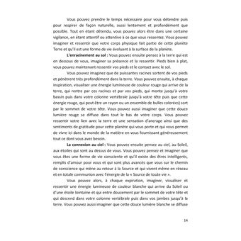 Guide pratique des soins énergétiques pour thérapeutes et particuliers
