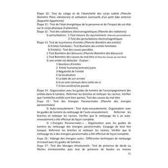 Guide pratique des soins énergétiques pour thérapeutes et particuliers