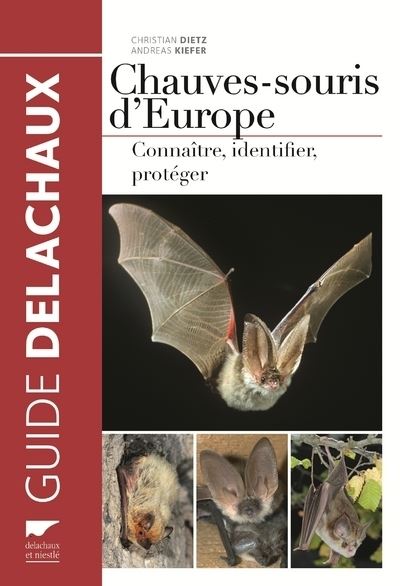 Chauves-souris d'Europe. Connaître, identifier, protéger