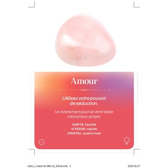 L'oracle de Mademoiselle Lili - boîtier de 55 cartes avec un livret de 80 pages - Découvrez les mes