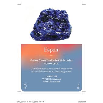 L'oracle de Mademoiselle Lili - boîtier de 55 cartes avec un livret de 80 pages - Découvrez les mes
