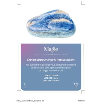 L'oracle de Mademoiselle Lili - boîtier de 55 cartes avec un livret de 80 pages - Découvrez les mes