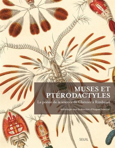 Muses et le ptérodactyle