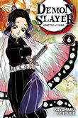 Demon Slayer T06