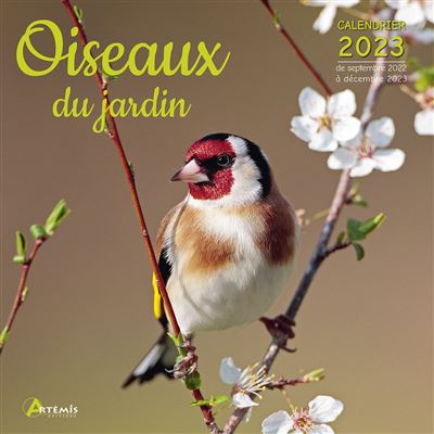 Calendrier Oiseaux 2023 Calendrier Oiseaux Du Jardin 2023 - Dernier Livre De Collectif -  Précommande & Date De Sortie | Fnac