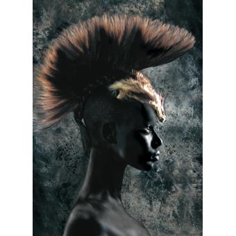 Africa by Philippe Paschkes