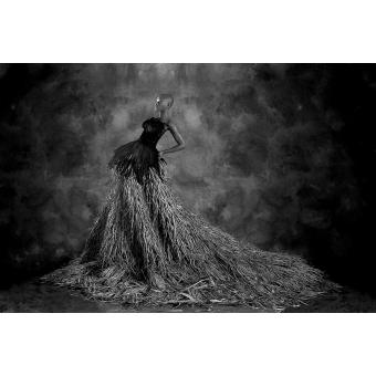 Africa by Philippe Paschkes