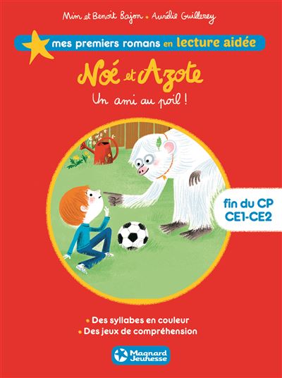 LECTURE AIDEE NOE ET AZOTE,1:UN AMI AU POIL
