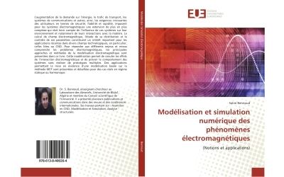 Modelisation et simulation numerique des phenomenes electromagnetiques