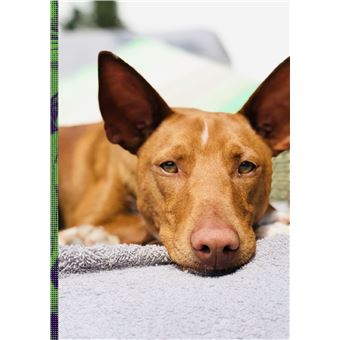 Bâtard N°1 - Juin 2023