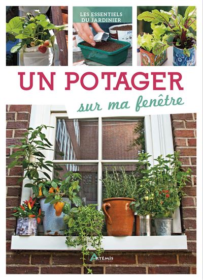 Un potager sur ma fenêtre
