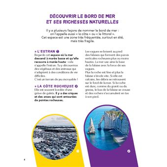 Je découvre le bord de mer