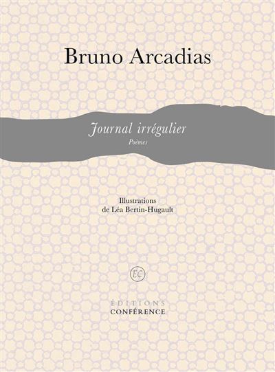 Journal irrégulier - Bruno Arcadias - broché