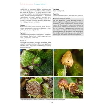 Les Bryophytes de France