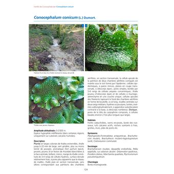 Les Bryophytes de France