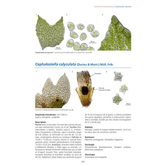 Les Bryophytes de France
