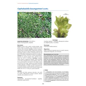 Les Bryophytes de France