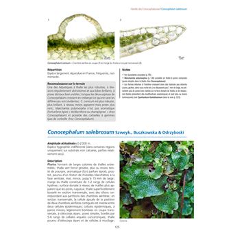 Les Bryophytes de France