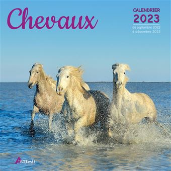 Calendrier chevaux 2023 - broché - Collectif, Livre tous les livres à