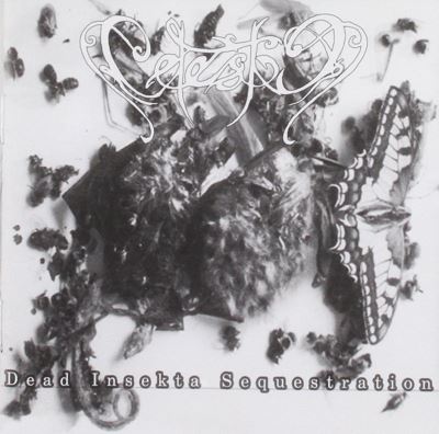 Dead insekta sequestratio