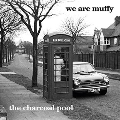 Charcoal pool/cd inclus