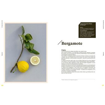 Le Grand livre des agrumes