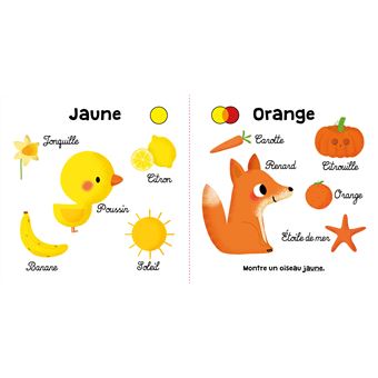 Les couleurs - J'apprends les notions
