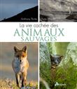 La vie cachée des animaux sauvages