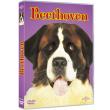 Beethoven DVD