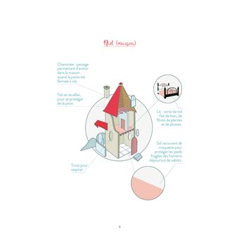 Drôle d'histoire naturelle, le Petit Chaperon rouge