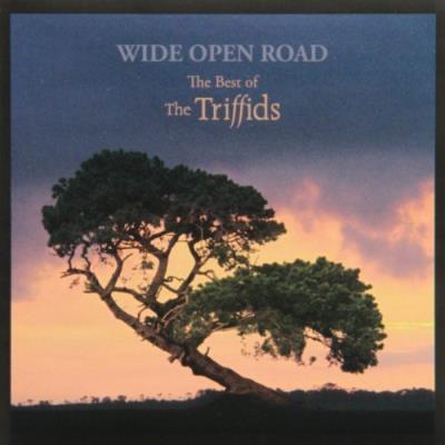Wide Open Road The Best of The Triffids