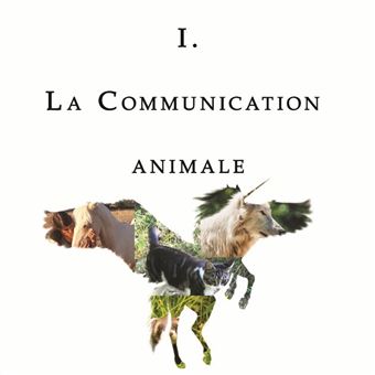La Reconnexion Animale