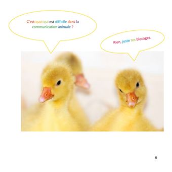 La Reconnexion Animale