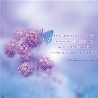 La Reconnexion Animale