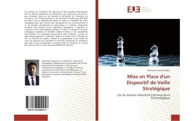 Mise en Place d'un Dispositif de Veille Strategique