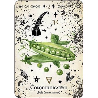 Oracle de la magie verte - Découvrez les vrais secrets de la magie botanique