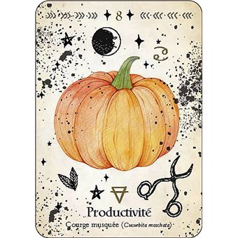 Oracle de la magie verte - Découvrez les vrais secrets de la magie botanique