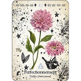 Oracle de la magie verte - Découvrez les vrais secrets de la magie botanique