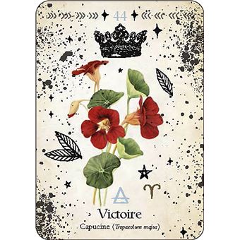 Oracle de la magie verte - Découvrez les vrais secrets de la magie botanique