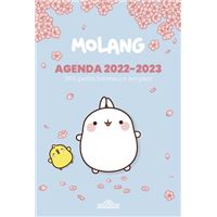 Ki & Hi : l'agenda 2022-2023 – QUB livre