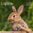 Calendrier lapins 2026