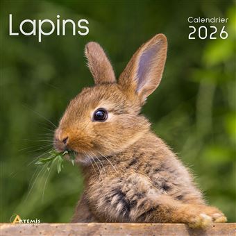 Calendrier lapins 2026