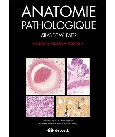 Anatomie Pathologique Atlas De Wheater - Broché - Pierre Validire ...