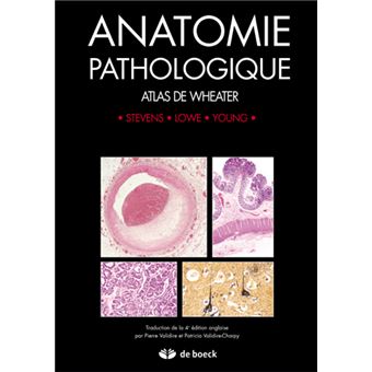 Anatomie Pathologique Atlas Et Texte En Couleur - Broché - Stevens ...