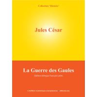 La Guerre des Gaules