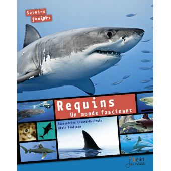 Requins Un Monde Fascinant Cartonne Alain Beneteau Alexandrine Civard Racinais Achat Livre Fnac